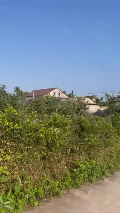 Đất thổ cư Tân Thanh, Thạch Xuân 138m² giá 1 tỷ - Vị trí sầm uất, giao thông thuận lợi!