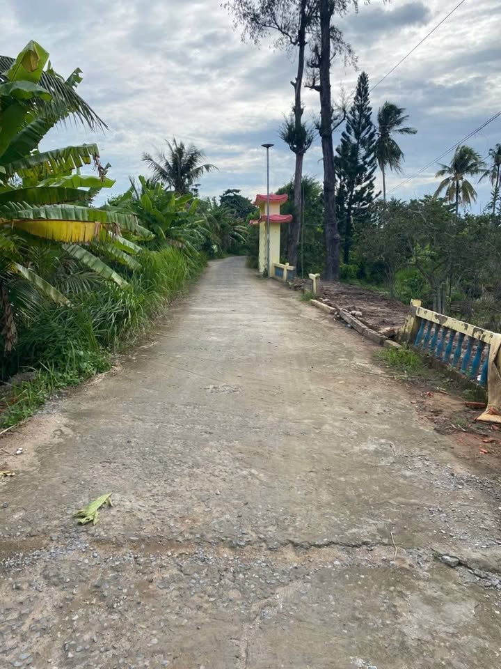 Nhà cấp 4 Hòa Nghĩa Chợ Lách 88m² giá 550 triệu - Mặt tiền rộng, gần chợ