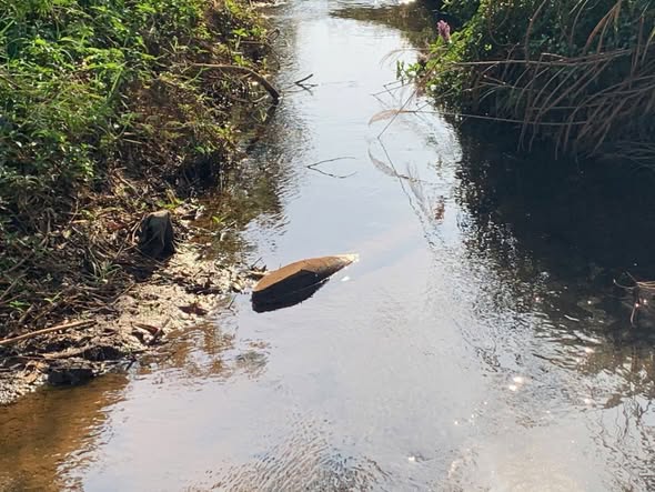 Đất Bảo Lâm 4, Lâm Đồng 1089m² giá 1.55 tỷ - Sổ sẵn, mặt tiền đường quy hoạch mở rộng