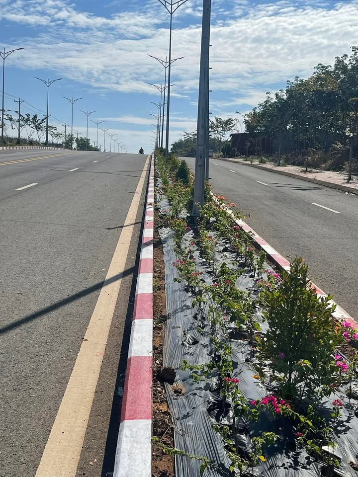 Đất nền Tuyến 3, Thị Xã Đồng Xoài 570m² giá 1 tỷ - Đầu tư sinh lời lý tưởng!