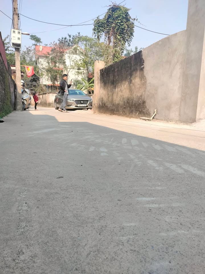 Đất nền tại Xã Thanh Cao 100m² - Giá tốt cho nhà đầu tư!