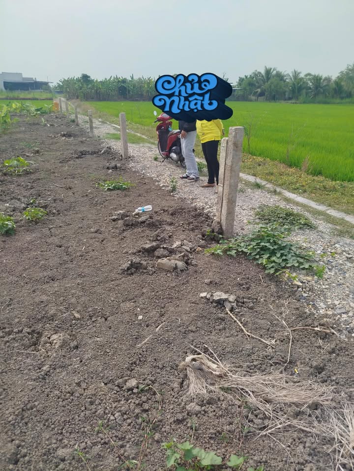 Đất thổ cư 1000m² tại Gò Công, Tiền Giang giá chỉ 650 triệu - Tiềm năng phát triển lớn!