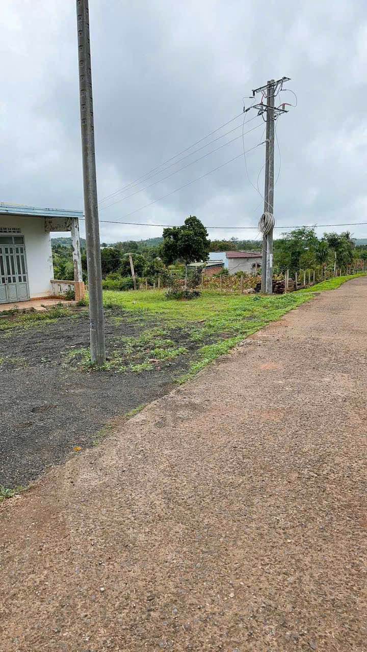 Đất thổ cư 450m² tại thôn 7 Phú Xuân - Gần khu công nghiệp, giá 1 tỷ thương lượng!