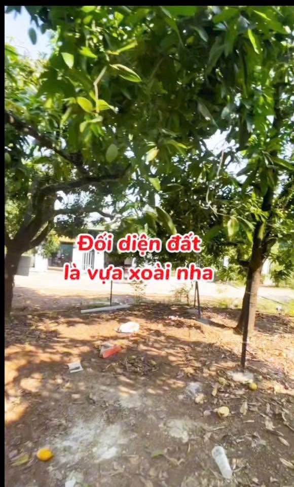 Đất thổ cư 250m² tại Định Quán, Đồng Nai - Sổ hồng chính chủ, giá tốt cho nhà đầu tư!