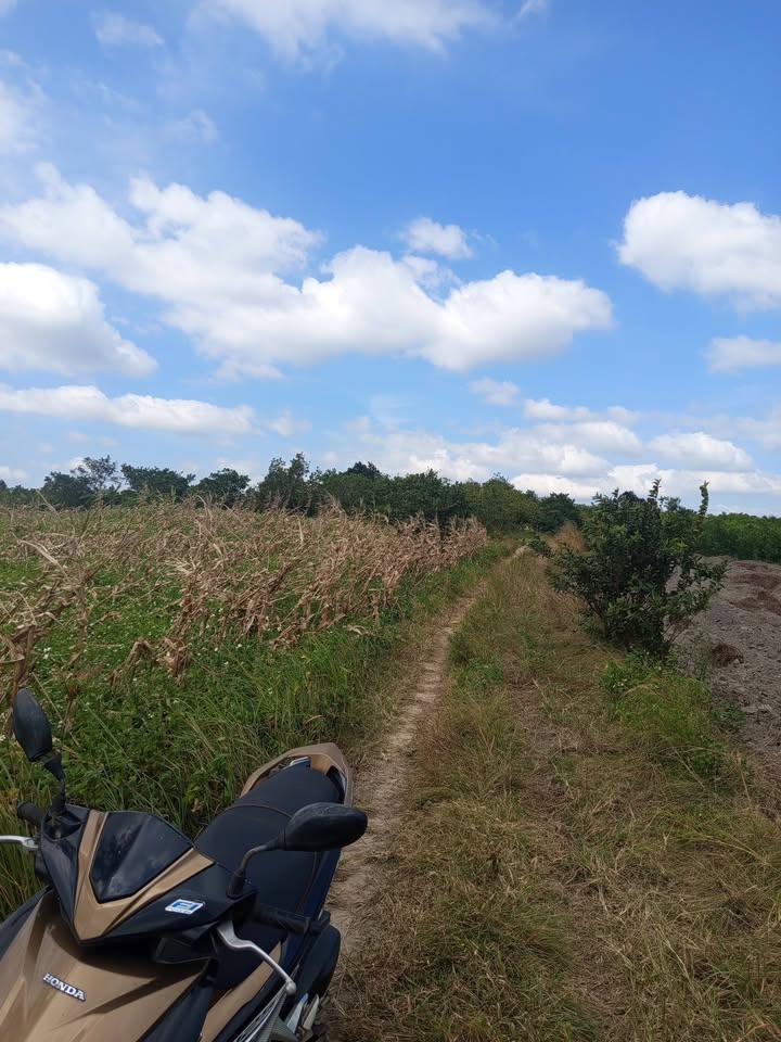 Đất nền 1,8ha tại xã Ea Sô, huyện Ea Kar chỉ 882 triệu - Sổ hồng đầy đủ, đầu tư sinh lời!