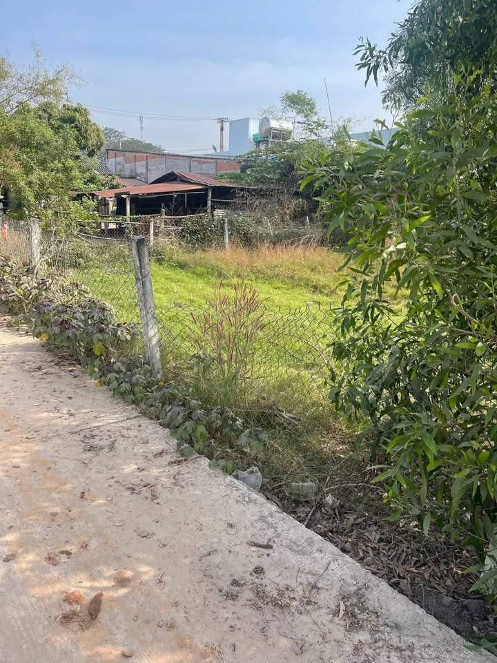 Đất nền Đức Lập, Long An 374m² giá 3.7 tỷ - Sổ hồng chính chủ, đầu tư sinh lời!