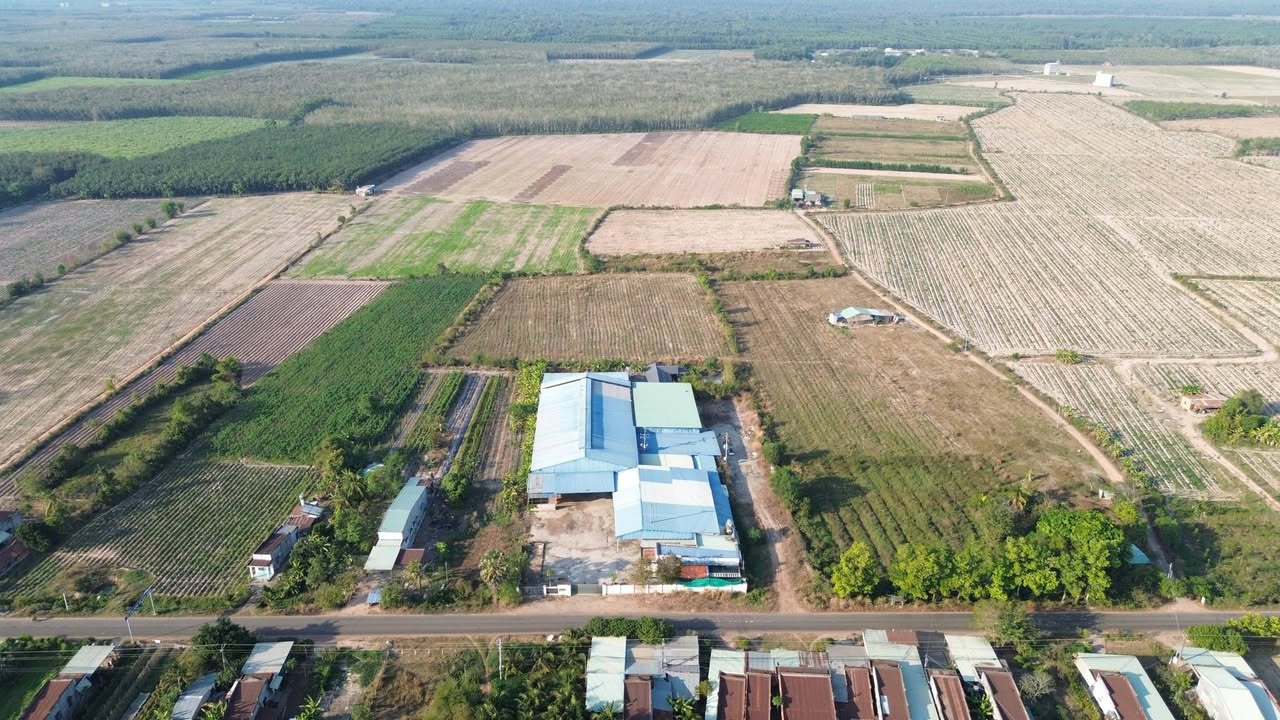 Xưởng gỗ 18,000m² tại Quận 12, giá 14 tỷ - Cơ hội đầu tư hấp dẫn!