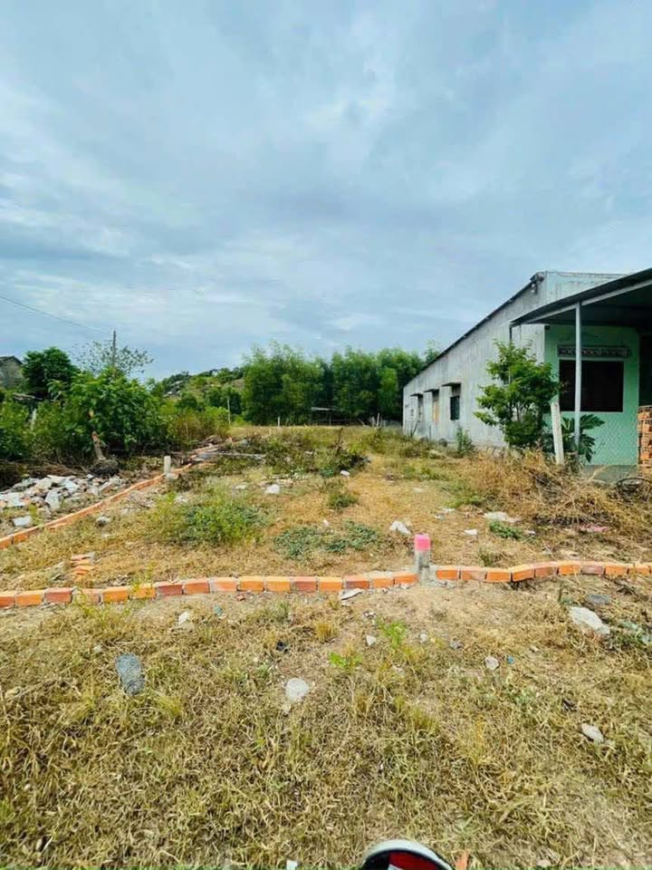 Đất nền Suối Tiên - Tân Khánh 160m² chỉ 950 triệu - Đầu tư sinh lời ngay!