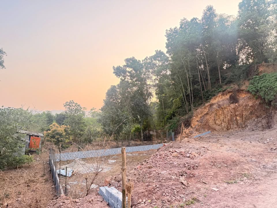 Đất thổ cư 900m² tại An Phú - Mỹ Đức, giá thỏa thuận - Cơ hội đầu tư hấp dẫn!