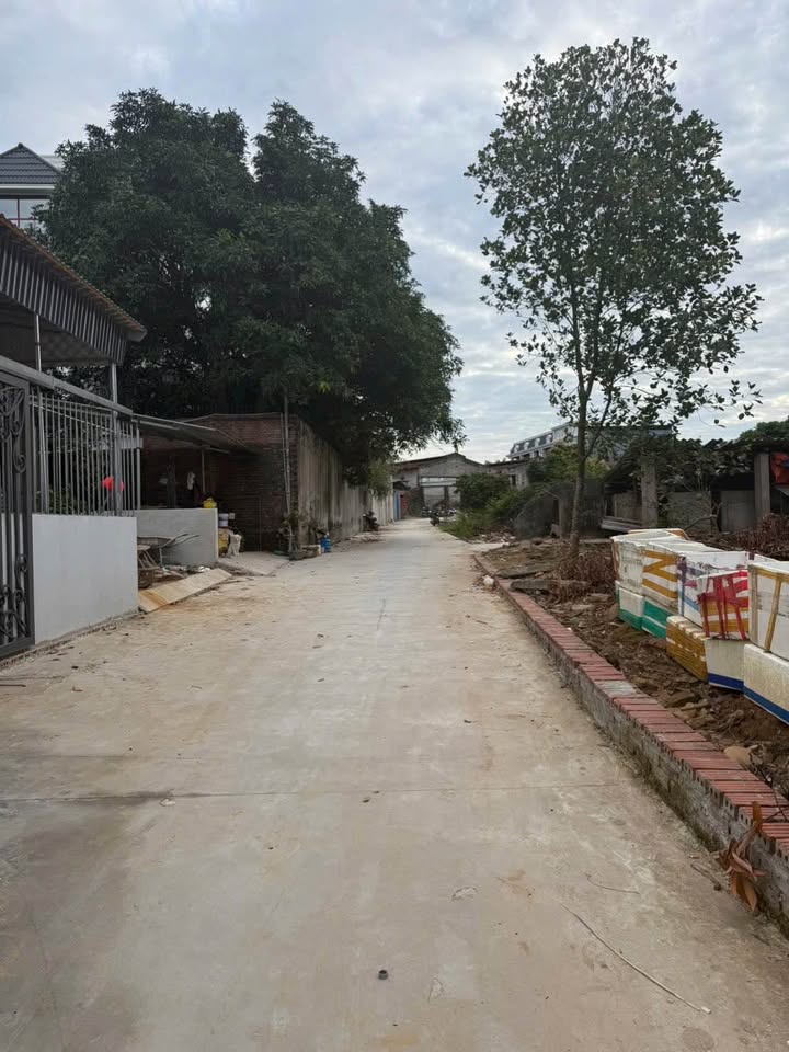 Đất nền khu 7 Hải Yên 113.6m² giá 1 tỷ - Sẵn sàng xây dựng ngay!