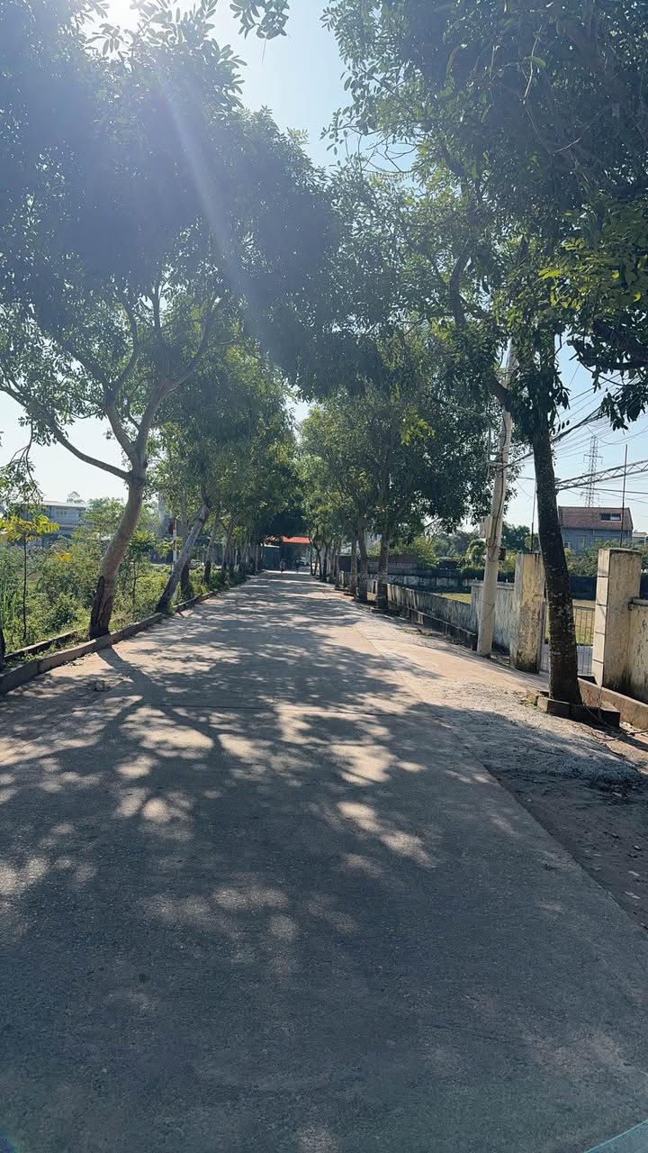 Đất góc 3 mặt tiền tại khu 5, xã Hải Hòa, 80m² - Vị trí đẹp, siêu thoáng!