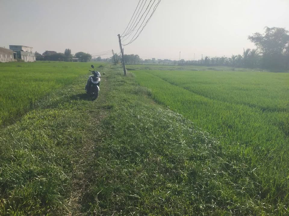 Đất nền xã Đức Hòa Đông 2000m² giá 4 tỷ - Sổ hồng chính chủ, đầu tư sinh lời!