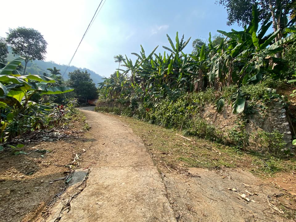 Đất nghỉ dưỡng Hợp Tiến Kim Bôi 1900m² giá chỉ 1.x tỷ - Đầu tư lý tưởng!