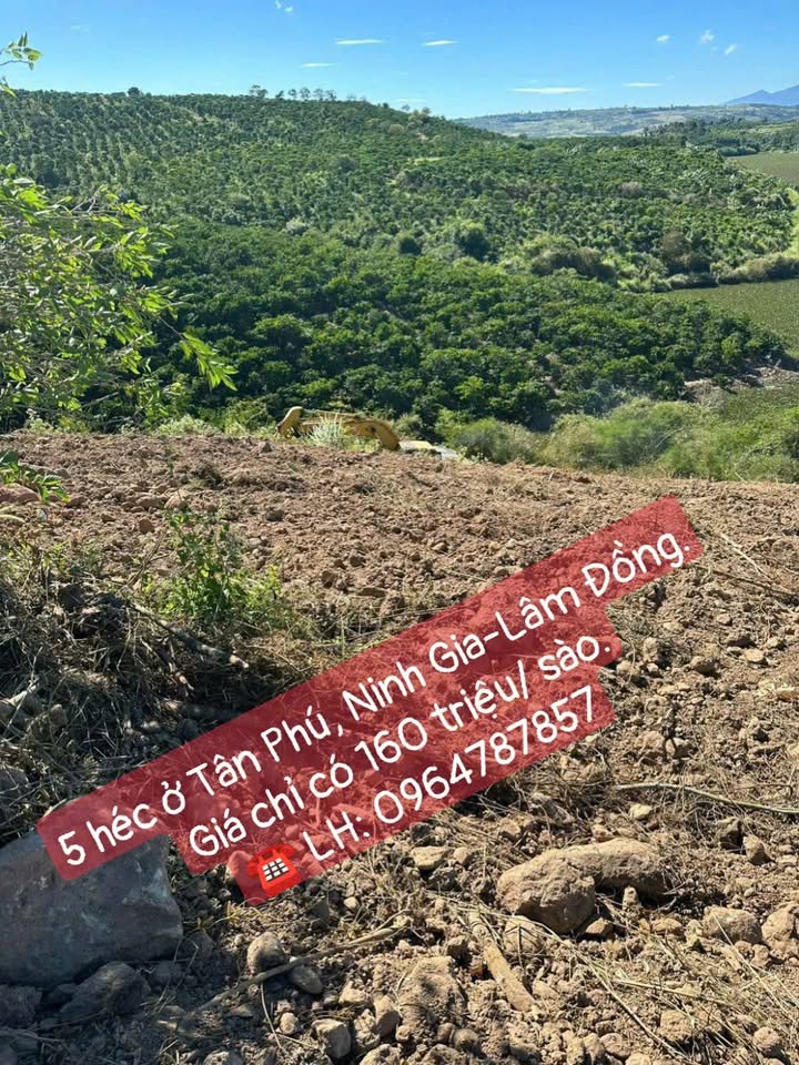 Đất ở xã Ninh Gia, Đức Trọng, Lâm Đồng 50.000m² giá 80 tỷ - Đầy đủ sổ sách, view sông đẹp!