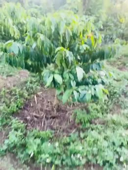 Đất nền 2 mặt tiền xã Ea M'nang 7200m² giá chỉ 7xx triệu - Cơ hội đầu tư hấp dẫn!