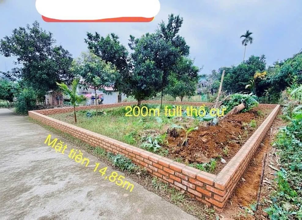 Đất thổ cư 200m² tại Thị trấn Cao Phong - Giá chỉ 50 triệu/m²!