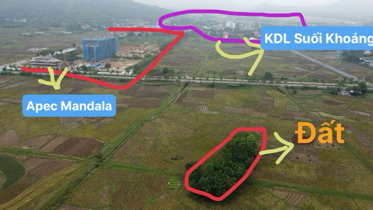 Đất trồng cây 655m² tại Kim Bôi, Hòa Bình - Giá chỉ dưới 1 tỷ!