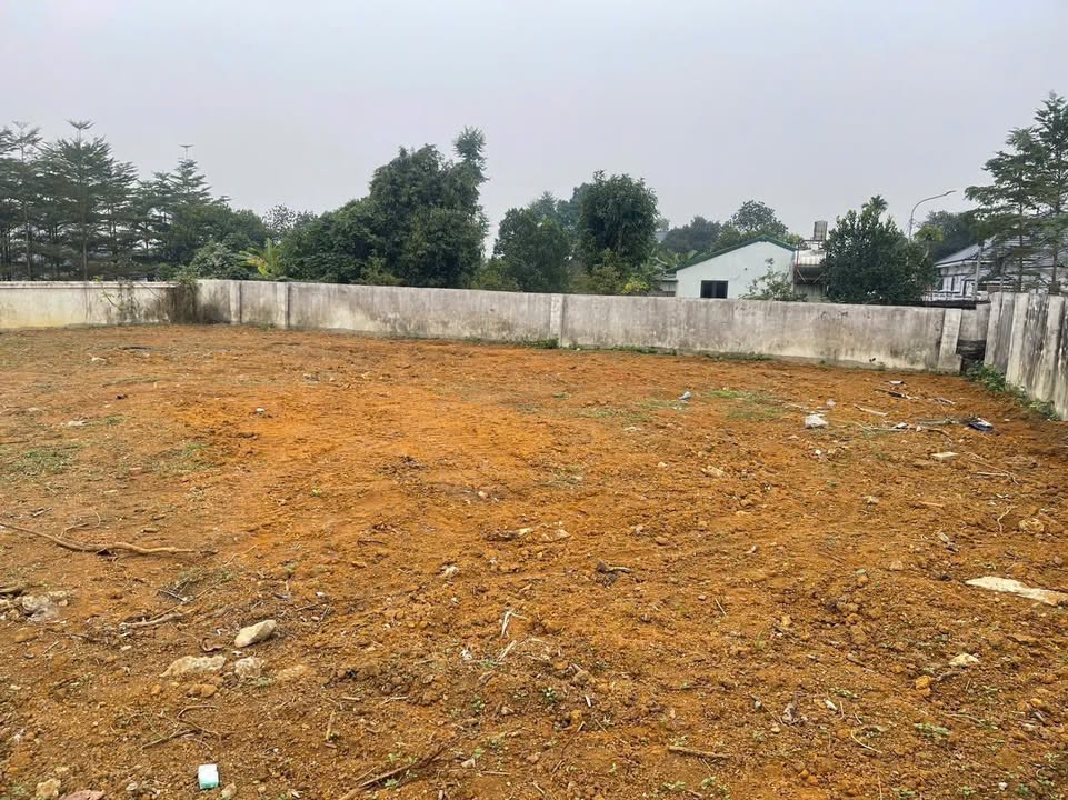 Đất nền La Gián 810m² giá thỏa thuận - Đường ô tô vào tận nơi!