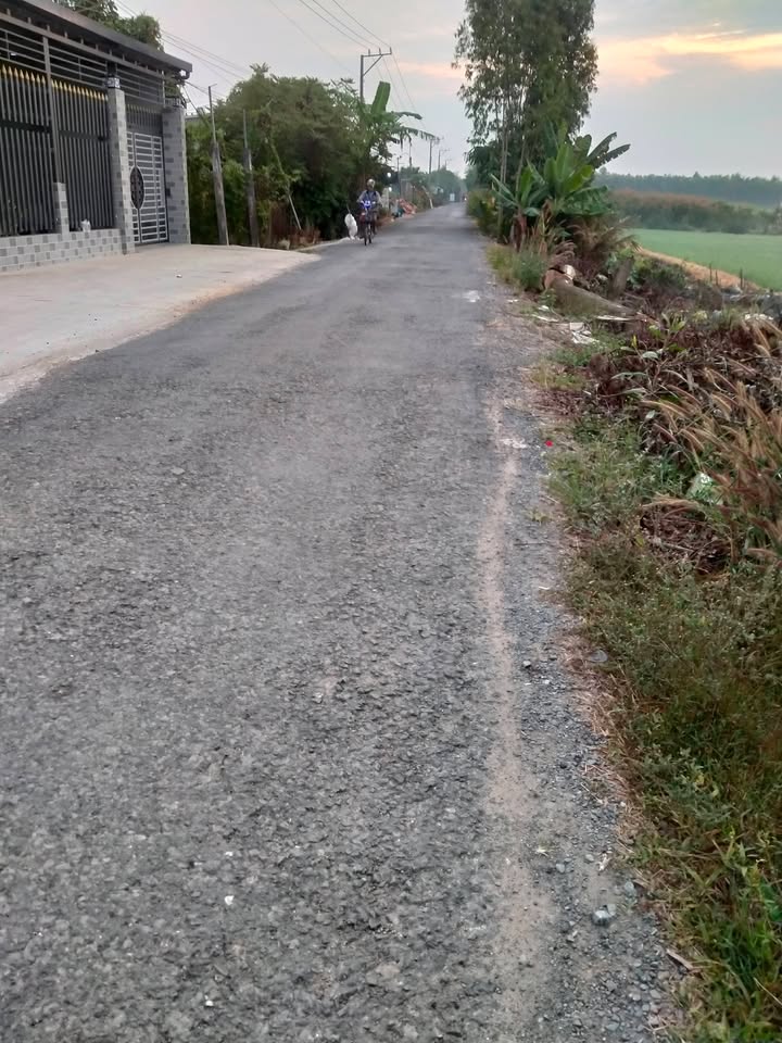 Đất mặt tiền huyện lộ 49 Tân Phước 960m² giá 3.8 tỷ - Gần chợ Tân Phước!