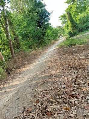 Đất nông nghiệp 8240m² tại Long Xuyên, An Giang - Gần cầu Bằng Tăng, giá 5 tỷ thương lượng!