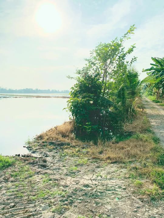 Bán đất vàng mặt tiền Vĩnh Tế, Châu Đốc 8606m² giá 5.2 tỷ - Cơ hội đầu tư sinh lời!