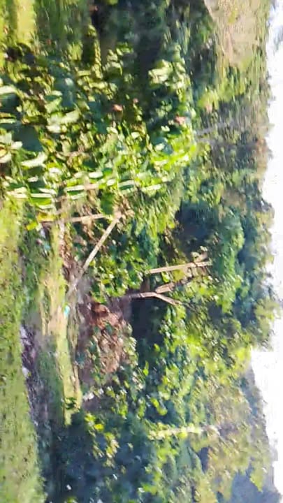 Đất nền xã Đắk R'Măng, huyện Đăk Glong 90,000m² giá 900 triệu - Thương lượng tốt!