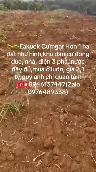 Đất nền 1ha Xã Ea Kuêh, Huyện Cư M'gar - Giá chỉ 2,1 tỷ, sẵn sàng xây dựng!