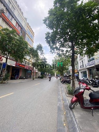 Nhà phố Trương Công Giai, Cầu Giấy 70m² giá 43.5 tỷ - Đầu tư sinh lời ngay!