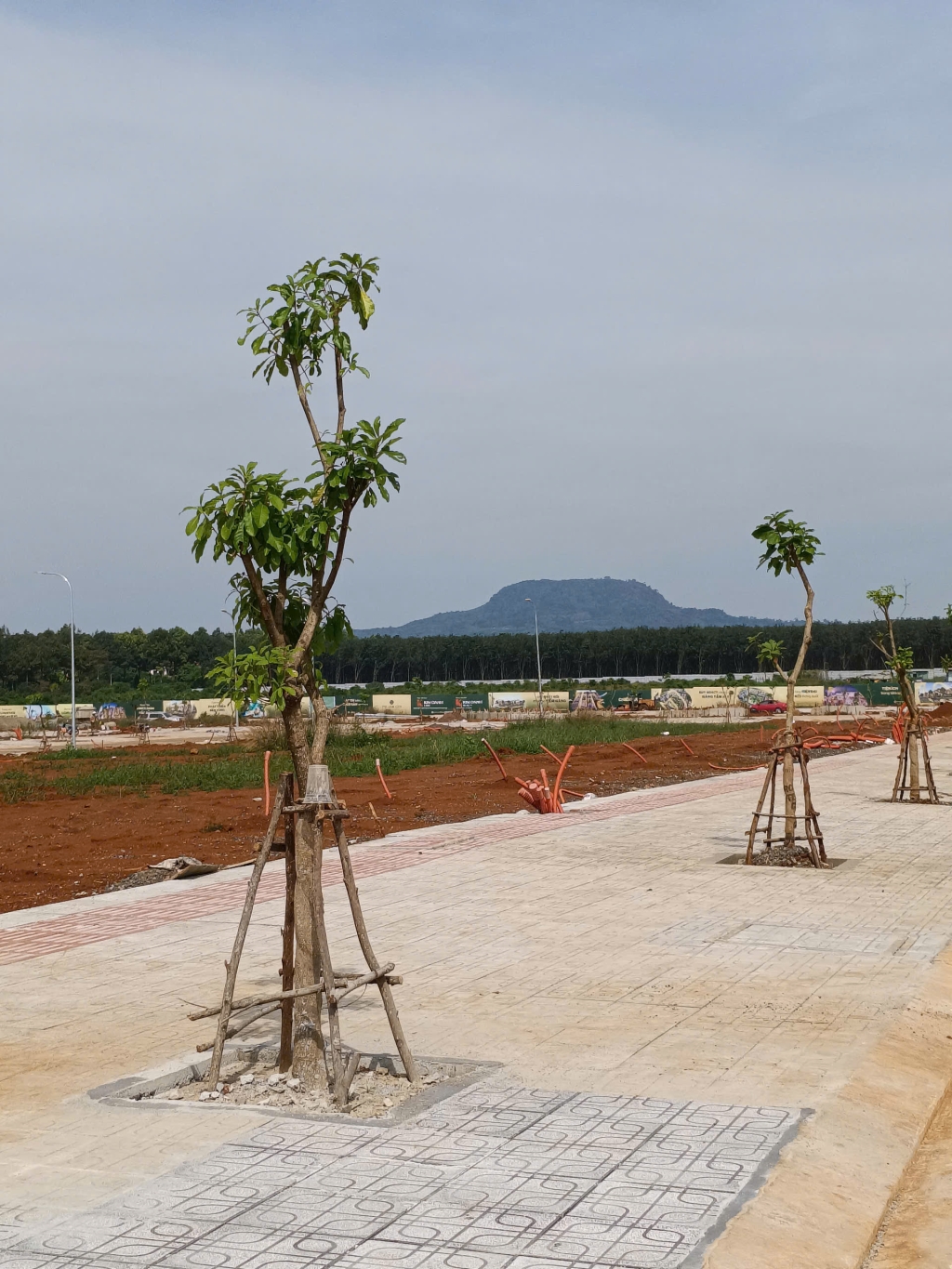 Đất nền mặt tiền QL1A, Biên Hòa 100m² giá 2.1 tỷ - Vị trí đẹp, sổ riêng thổ cư!