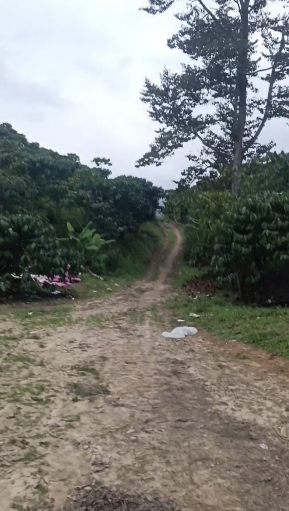 Đất 2 mặt tiền phường 3 Bảo Lộc 4,7 sào giá 1 tỷ 550 - Cơ hội đầu tư hấp dẫn!