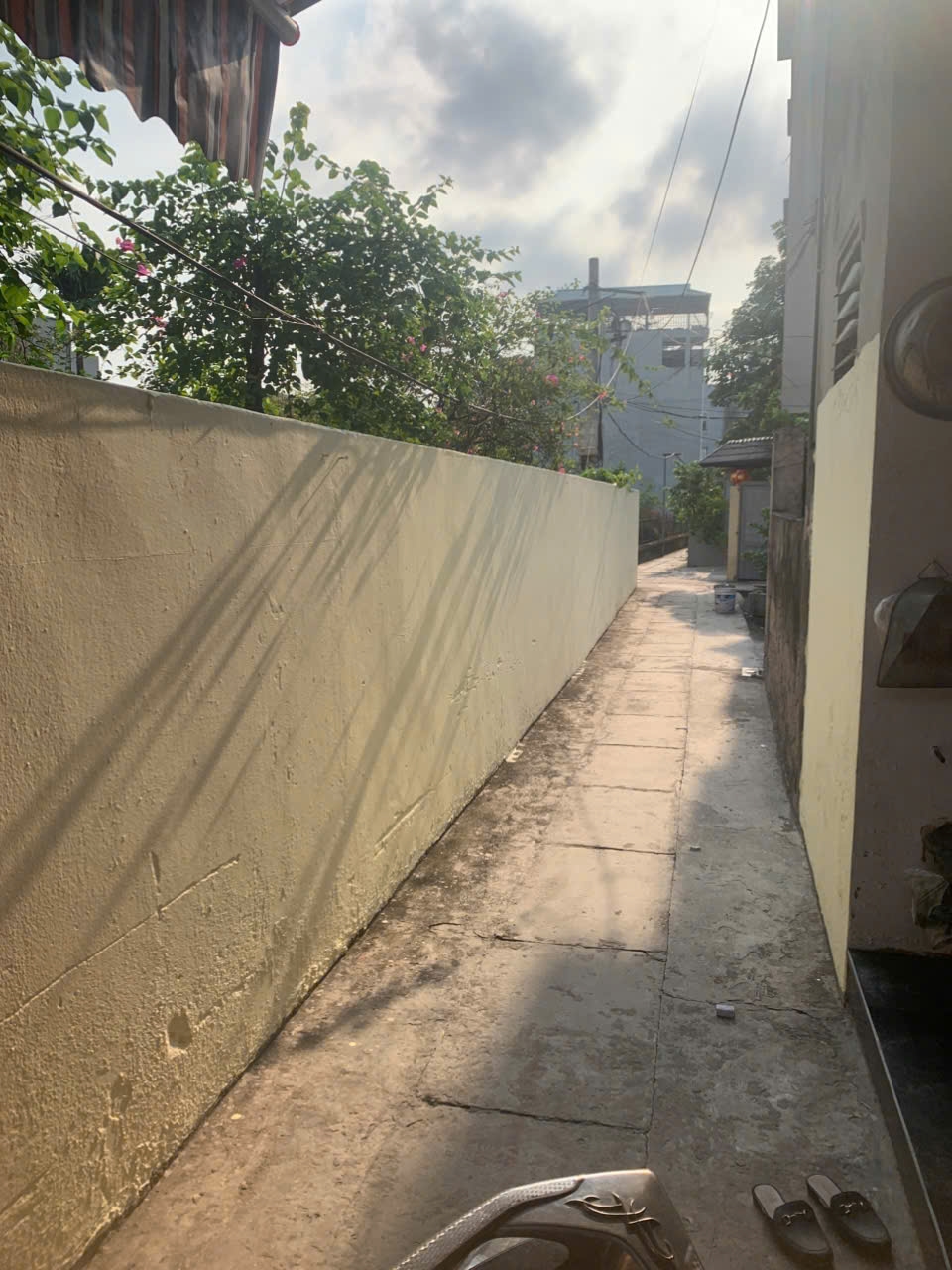 Đất thổ cư 172,8m² tại Vĩnh Quỳnh, Thanh Trì - Giá chỉ 9,8 tỷ - Đầu tư sinh lời lý tưởng!