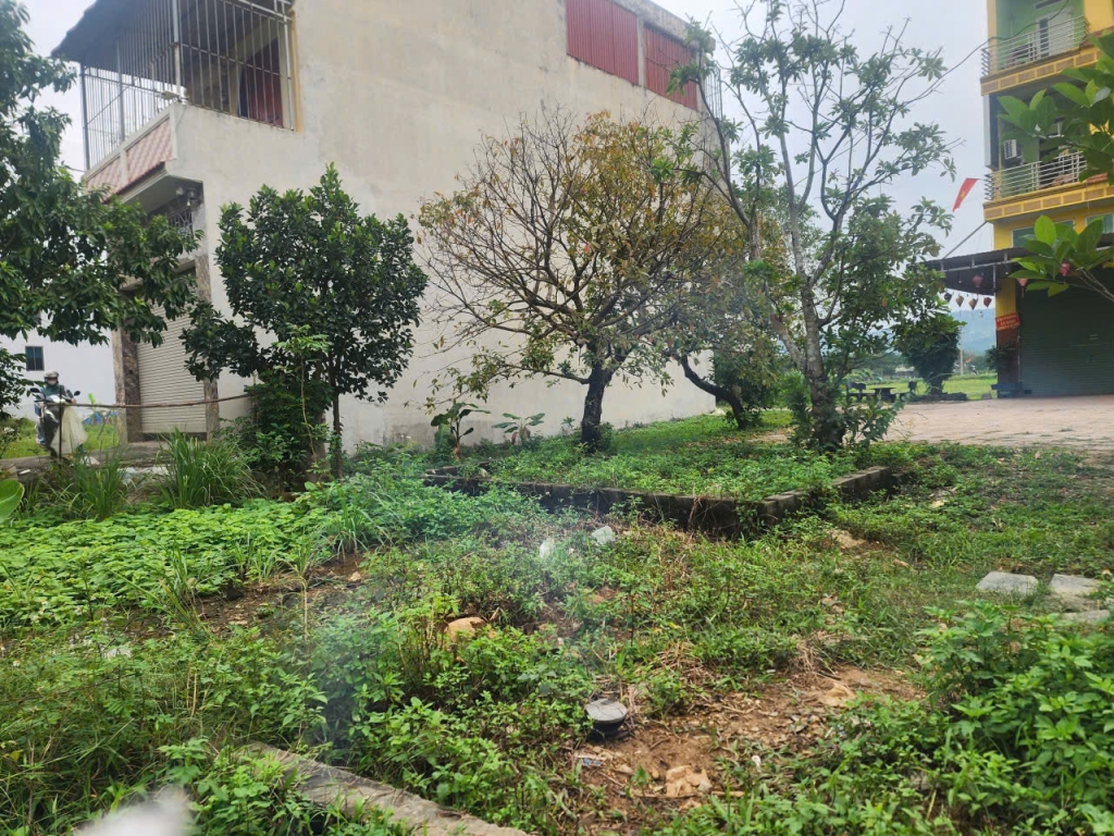 Đất đấu giá 72m² Nam Phương Tiến - Giá chỉ 2.35 tỷ, đầu tư sinh lời cao!