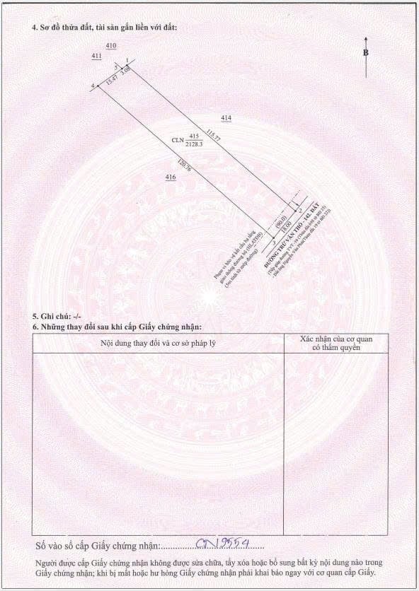 Đất vườn Bàu Bàng, Bình Dương 2000m² giá 950 triệu - Tặng ngay vườn bưởi!