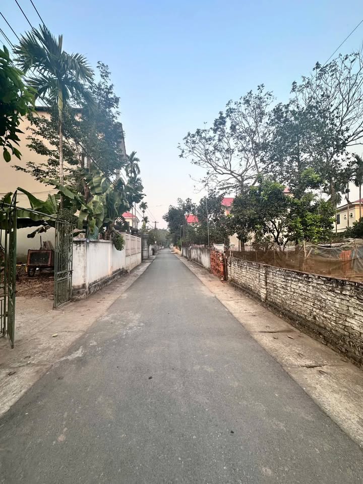 Đất Hồng Châu, Yên Lạc 100m² giá 1.4 tỷ - Chính chủ sang tên ngay!