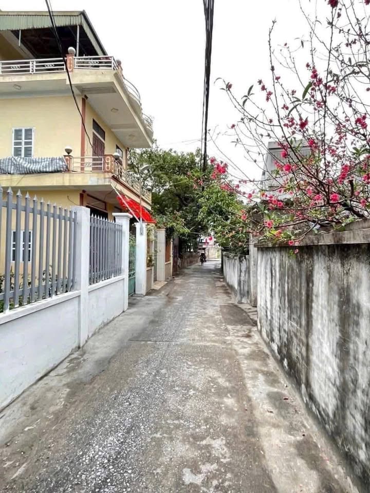 Đất tặng nhà C4 tại Đại Lai 2, Phú Xuân, 56m² chỉ 1.6 tỷ - Đầu tư sinh lời ngay!