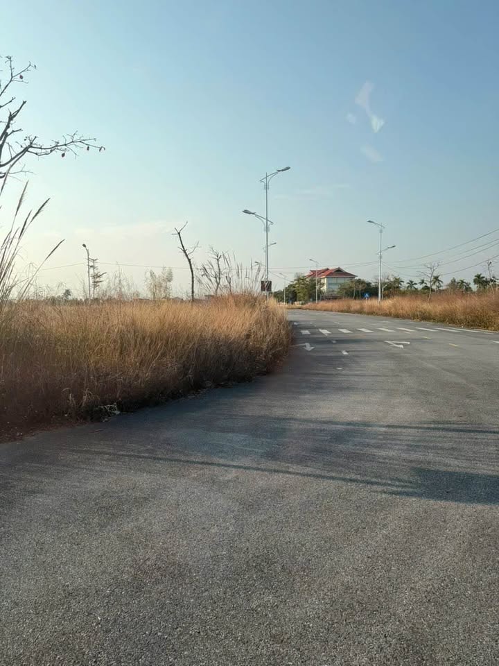 Đất ô góc đô thị Phượng Hoàng, 200m² - Giá chỉ 5.6 tỷ, cơ hội đầu tư tuyệt vời!