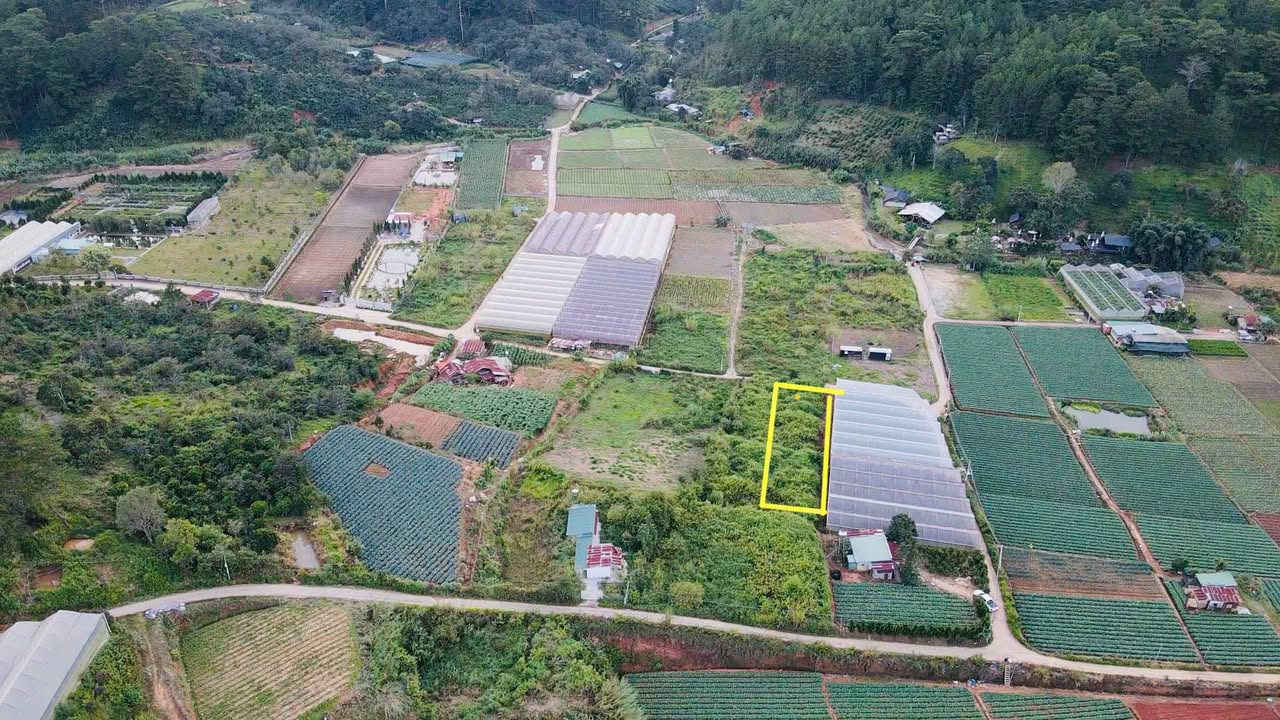 Đất nền Mimosa, Đà Lạt 673m² giá 2.3 tỷ - View rừng thông tuyệt đẹp!