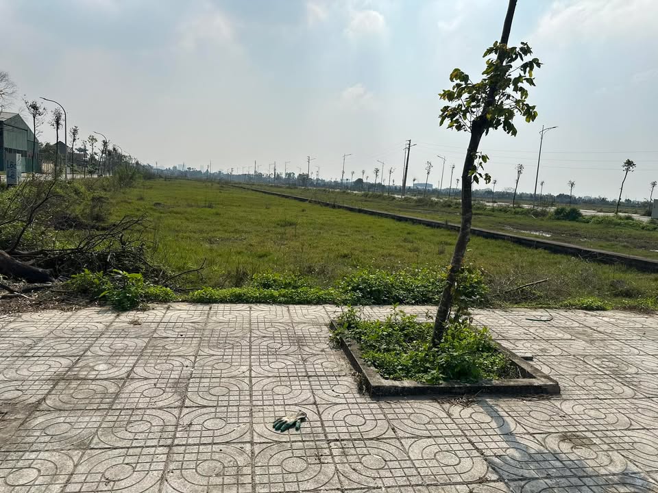 Lô đất biệt thự mặt hồ Nghi Kim 237.9m² giá 10.1 tỷ - Cơ hội vàng đầu tư!