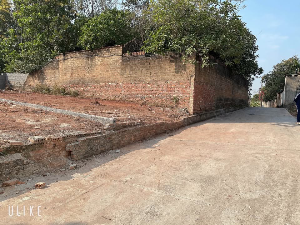 Đất thổ cư Mĩ Thái Lạng Giang 100m² giá chỉ 9xx triệu - Cơ hội đầu tư tuyệt vời!