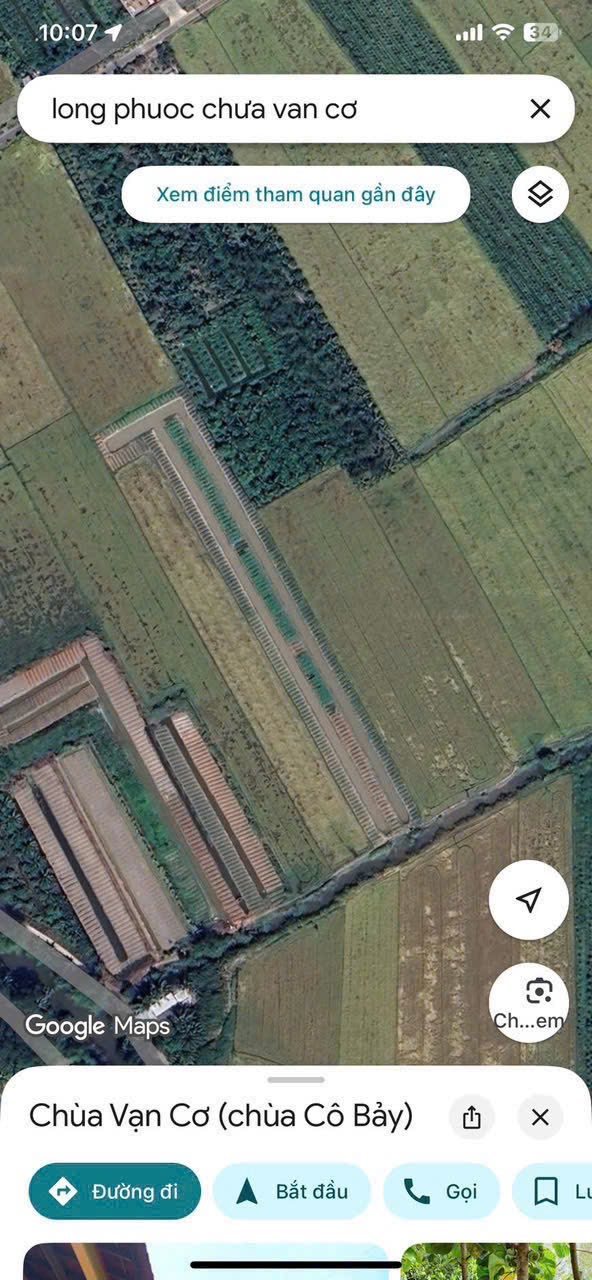 Đất vườn 4 công 8 tại Long Phước, Vĩnh Long - Giá chỉ 3.12 tỷ, đầu tư sinh lời!