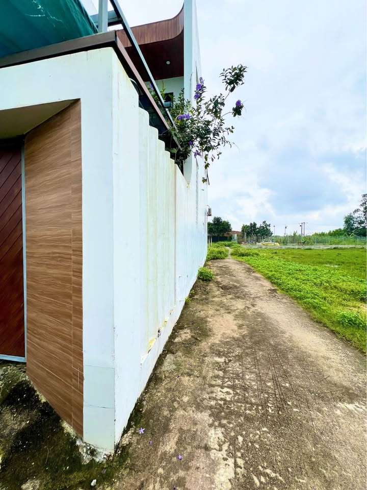 Đất nền liền kề 290m² khu dân cư Yên Phú giá 1 tỷ - Tiềm năng phát triển lớn!