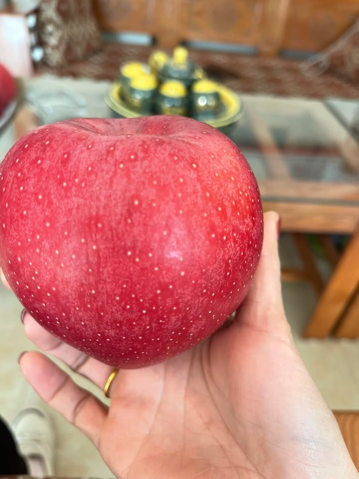 Đất đấu giá Hồ Công Dự, Bích Động, 183m² - Cơ hội đầu tư tuyệt vời!