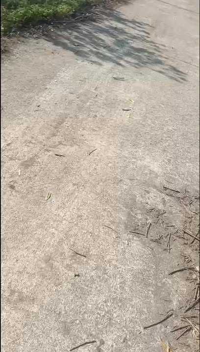 Đất nông nghiệp tại Ealy, Sông Hinh, Phú Yên 40ha - Đầu tư sinh lời ngay!