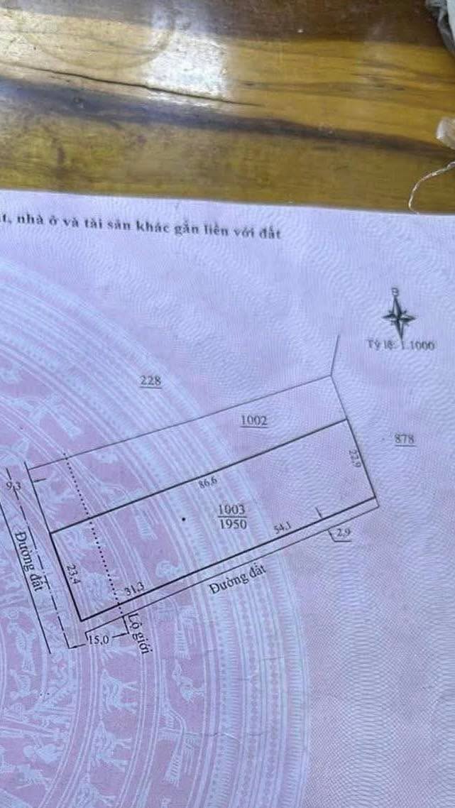 Đất nền 1,9 sào tại xã Đan Phượng, Lâm Hà - Giá 3,55 tỷ - Đầu tư sinh lời