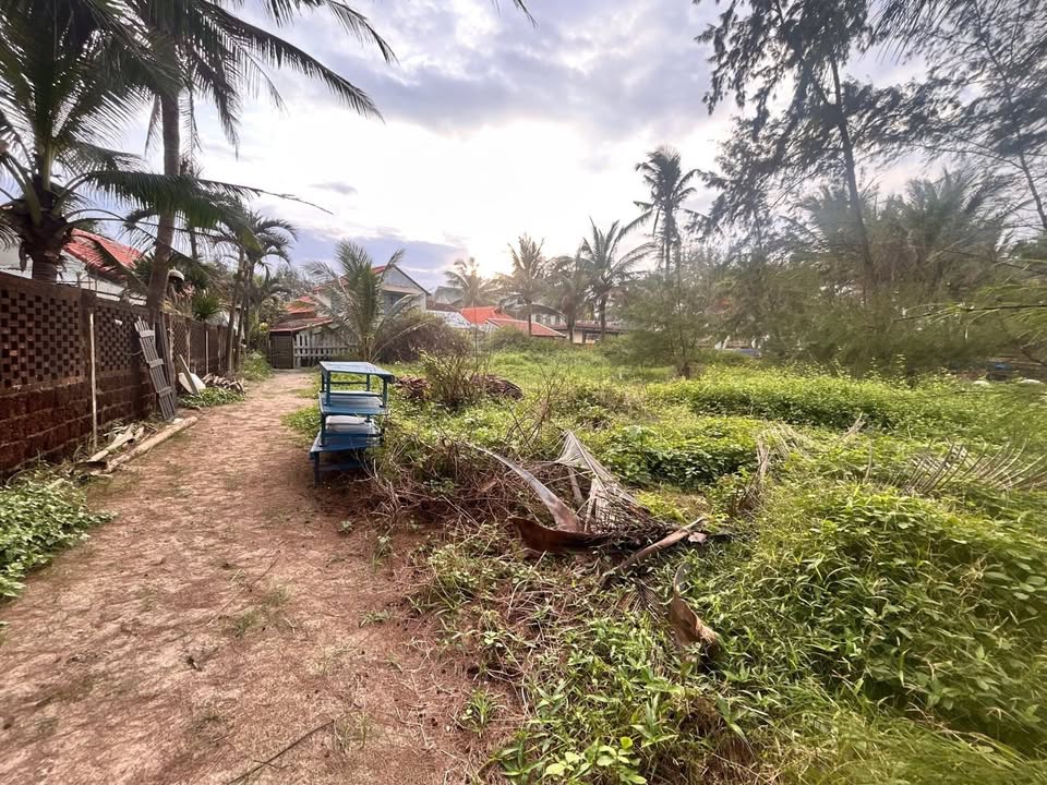 Đất biển An Bàng Hội An 1760m² giá 55.5 tỷ - Cơ hội đầu tư hiếm có!