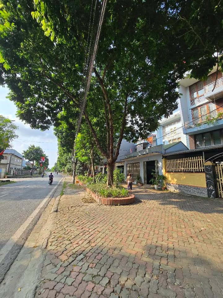 Nhà mặt phố kinh doanh Cổ Loa Đông Anh 145m² giá 1.74 tỷ - Pháp lý rõ ràng, chính chủ!