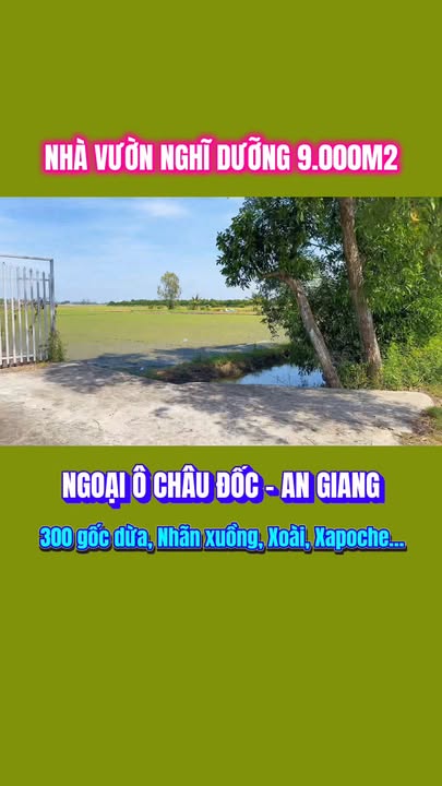 Farm 9000m² tại xã Mỹ Đức, An Giang - Đầu tư lý tưởng cho nghỉ dưỡng!