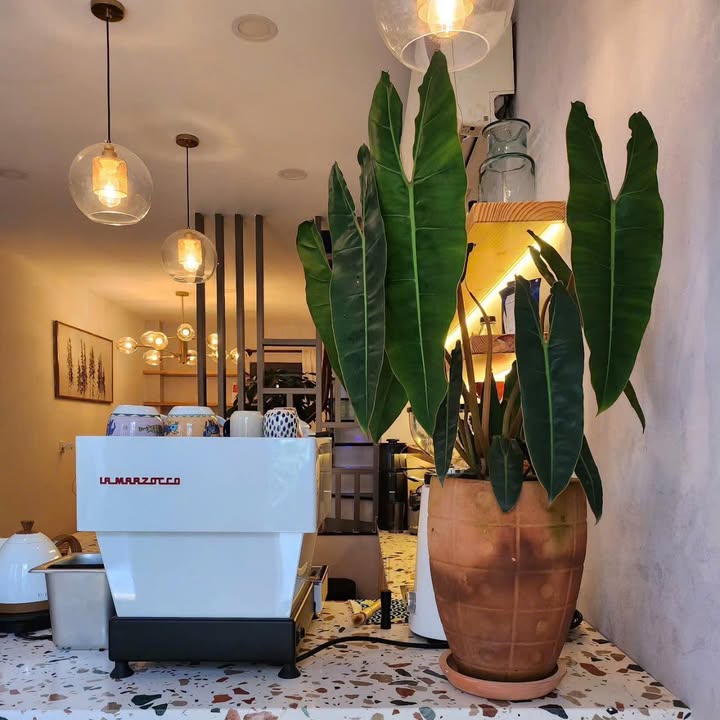 Nhà HXH Trần Quang Long, Bình Thạnh 38.3m² giá 9.1 tỷ - Kinh doanh hotel ổn định!