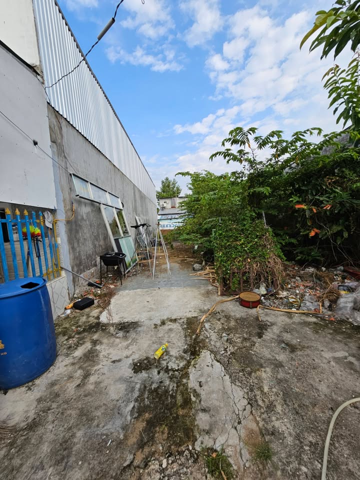 Đất nền chính chủ Thị trấn Cây Dương 117m² giá 8xx triệu - Cơ hội đầu tư hấp dẫn!