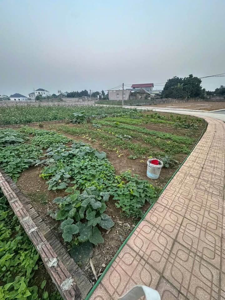 Đất nền Nhuận Trạch, Lương Sơn 161m² chỉ 2.258 tỷ - Mặt tiền đẹp, sát khu công nghiệp!